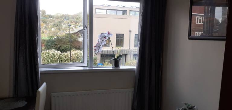 foto19