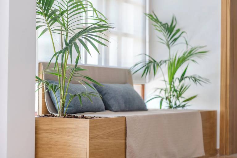 Ferienwohnung  Paleochora