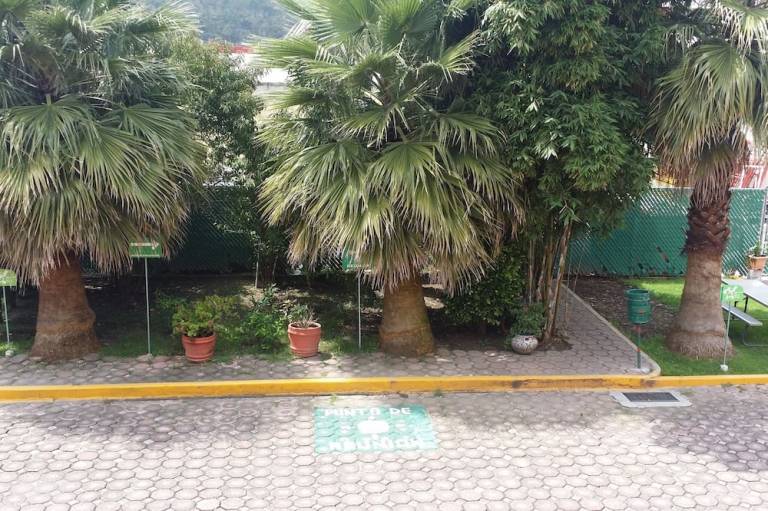 foto11