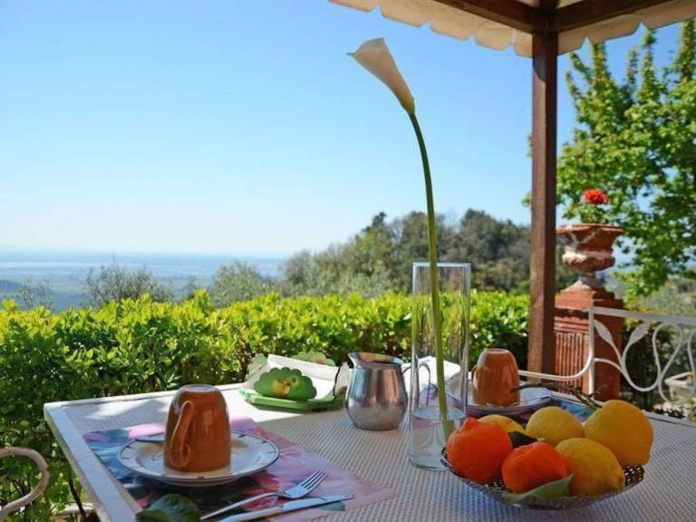 Family-oriented lovely rental apartment with grill, pool & yard | Nature view | Pets are welcome — photo 5