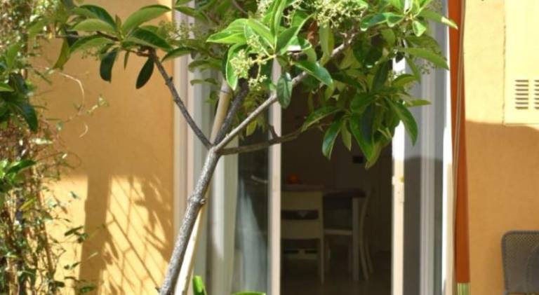 Rental apartment with 1 room for 4 persons — photo 3