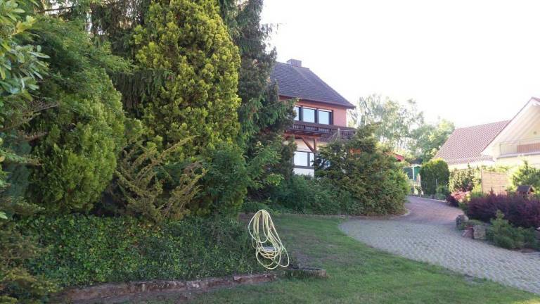 foto13