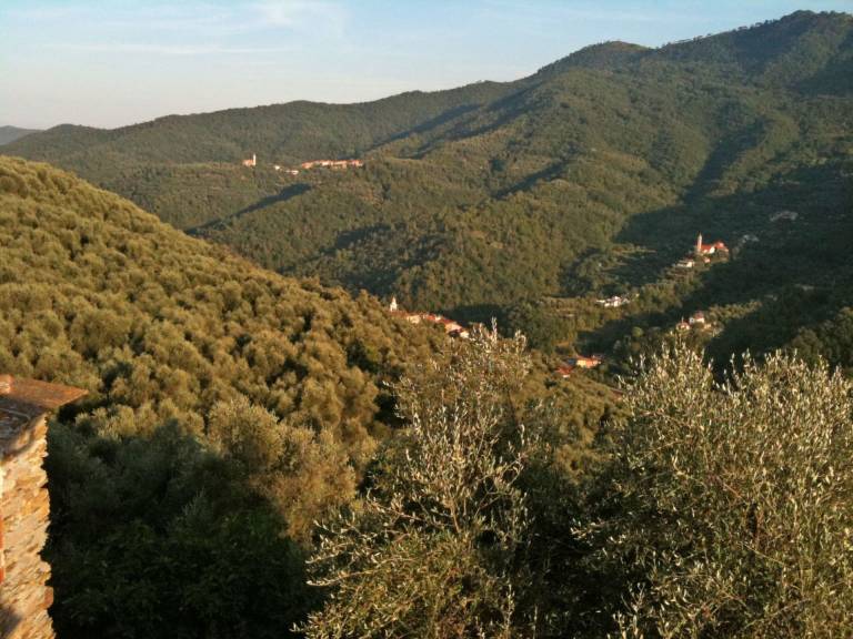 foto3