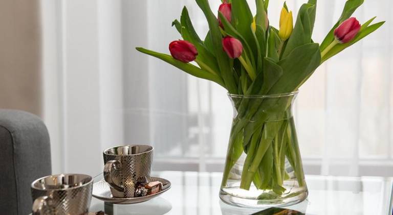 Apartament Bydgoszcz