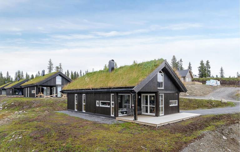 Feriehus Sjusjøen