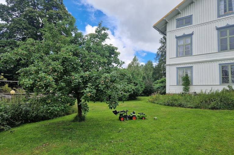 foto12