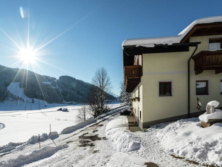 Ferienwohnung Flachau