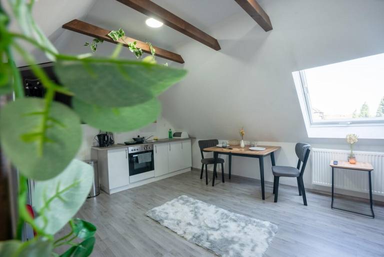 Serviceroom24 - Apartment 5 in Herten WLAN - Küche — photo 3