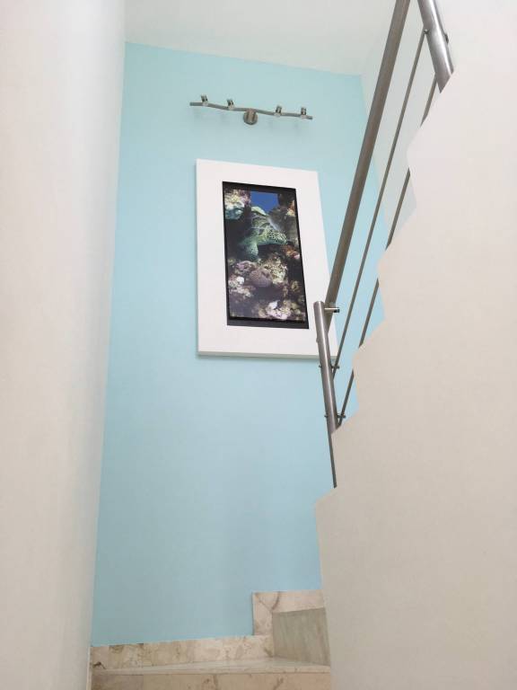 foto25