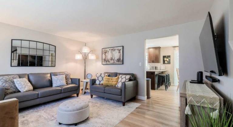 Spacious vacation home | Suitable for remote work | Pets allowed in Lam