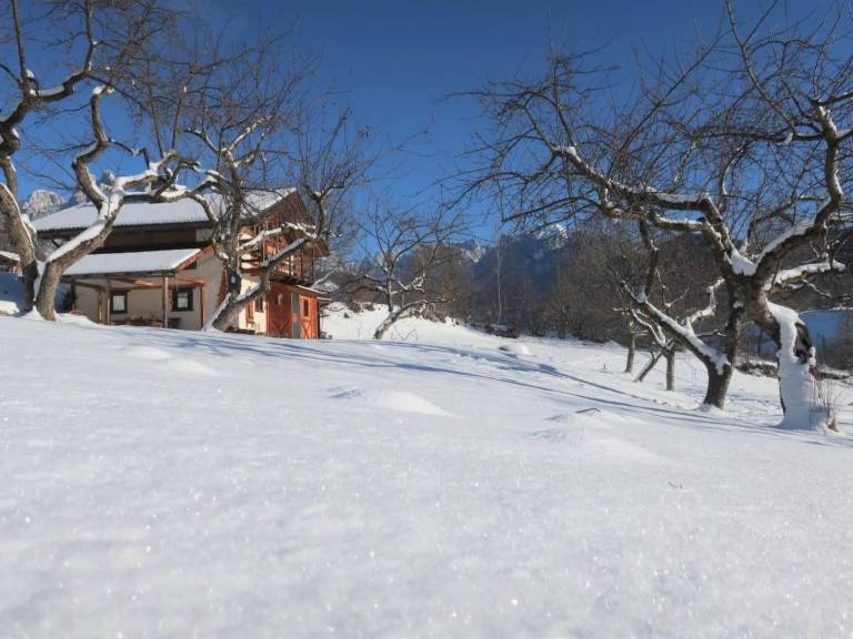House with garden & BBQ | Nature view — photo 4