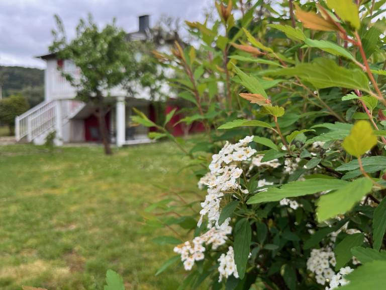 foto45