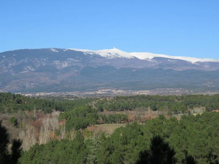 foto10