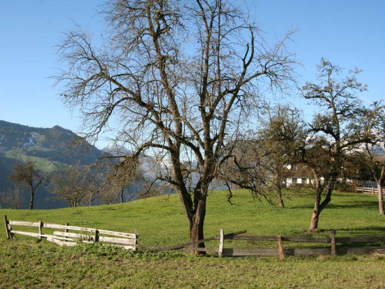 foto11