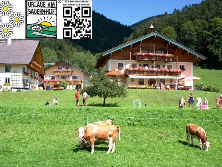 Leilighet Fuschl