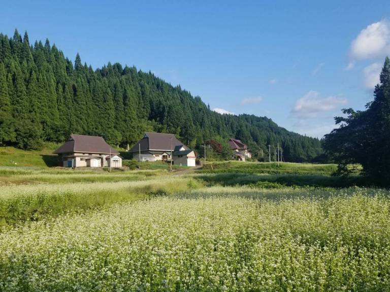 House  Kitaakita