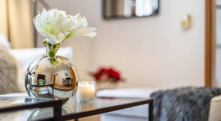 Wonderful rental apartment | Pet-friendly — photo 3