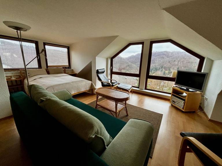 Ferienhaus Wieda