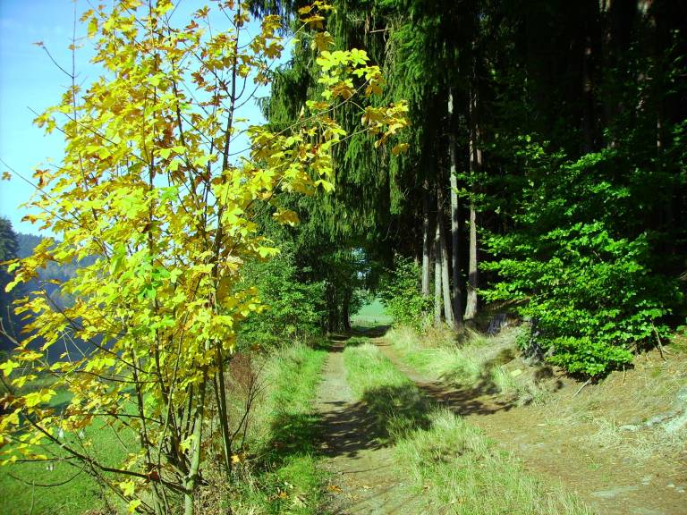 foto22