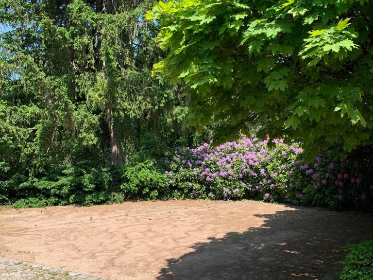 foto42