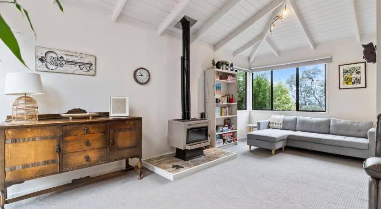 Spacious house | Pets are welcome — photo 4