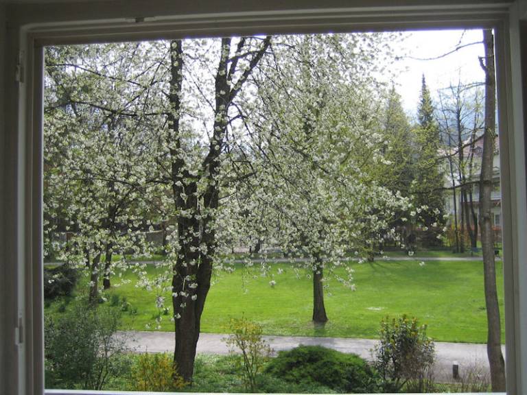 foto11