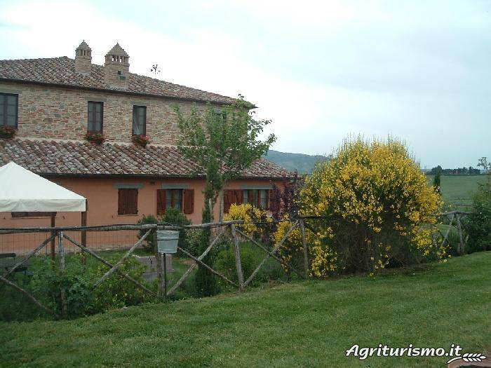 I Romiti: Appartamento Perugino — photo 5