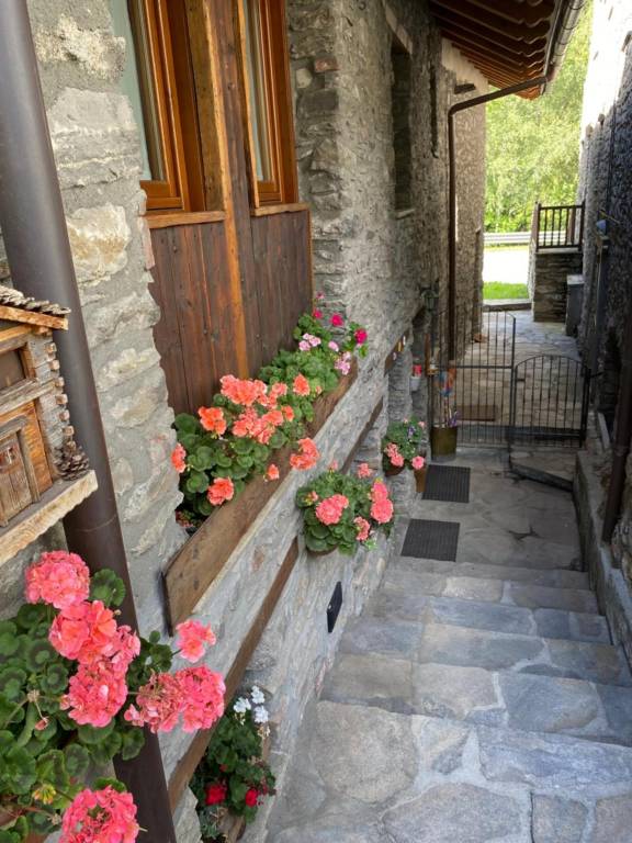Apartment with terrace | Pet-friendly — photo 4