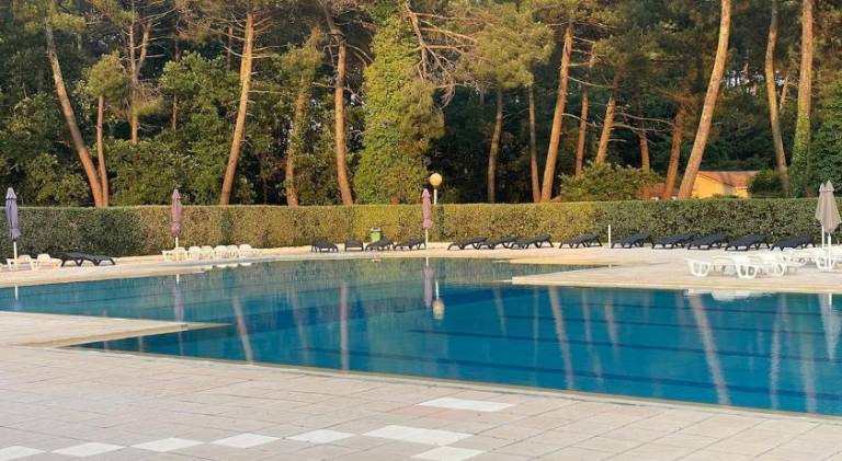 Beautiful chalet with pool | Pets are welcome — photo 3