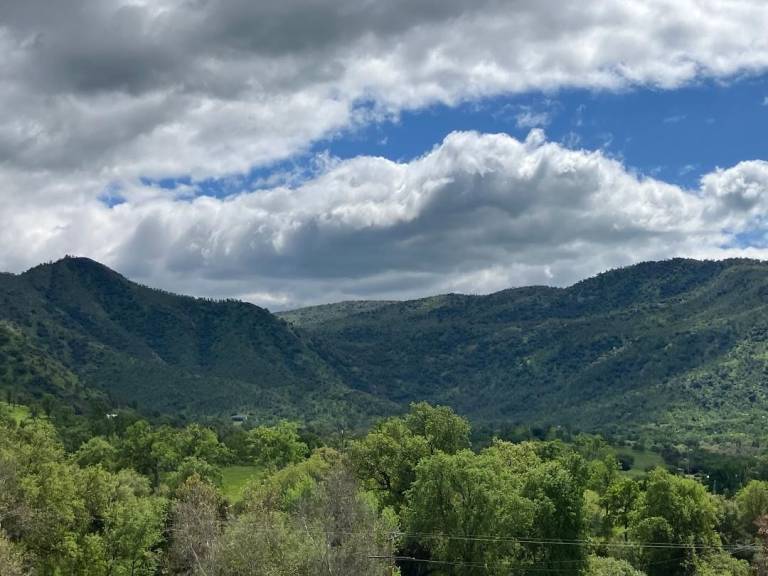 Cabin Three Rivers