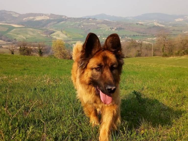 foto22