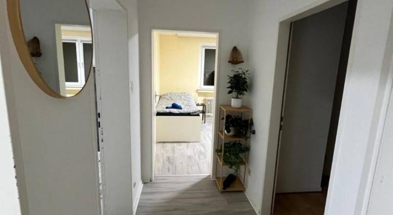 Lovely rental apartment | Pets are welcome in Osnabrueck