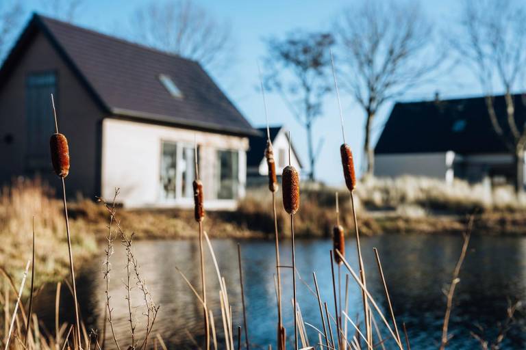 Ferienhaus mit Pool