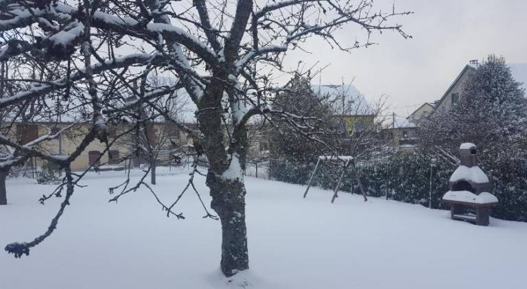 foto17
