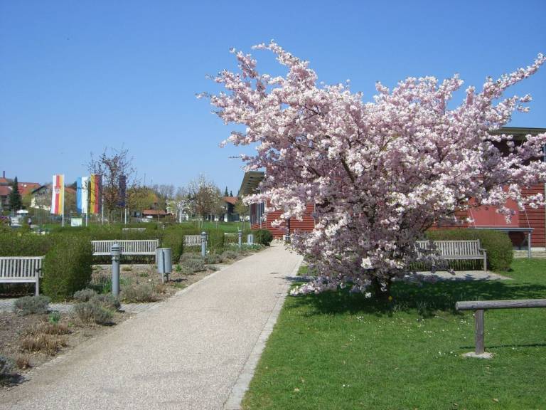 foto13