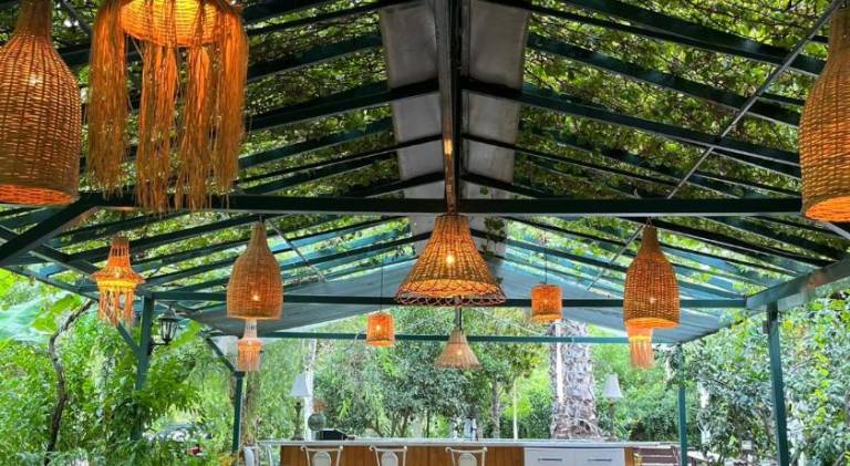 Charming bungalow with yard & patio | Pets allowed — photo 3