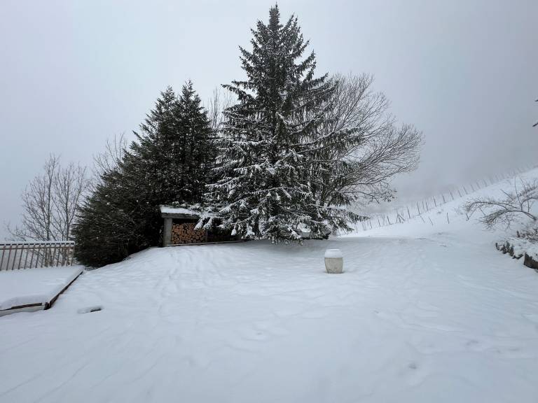 Chalet Sassenage