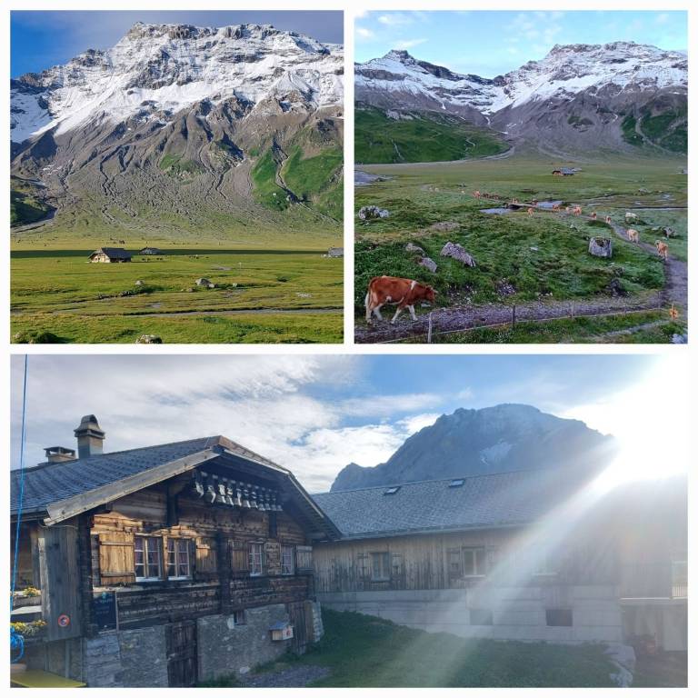 Ferienhaus  Adelboden