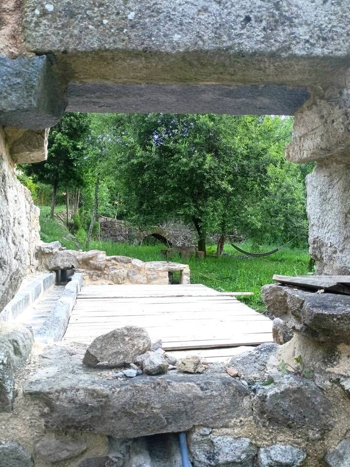 foto49