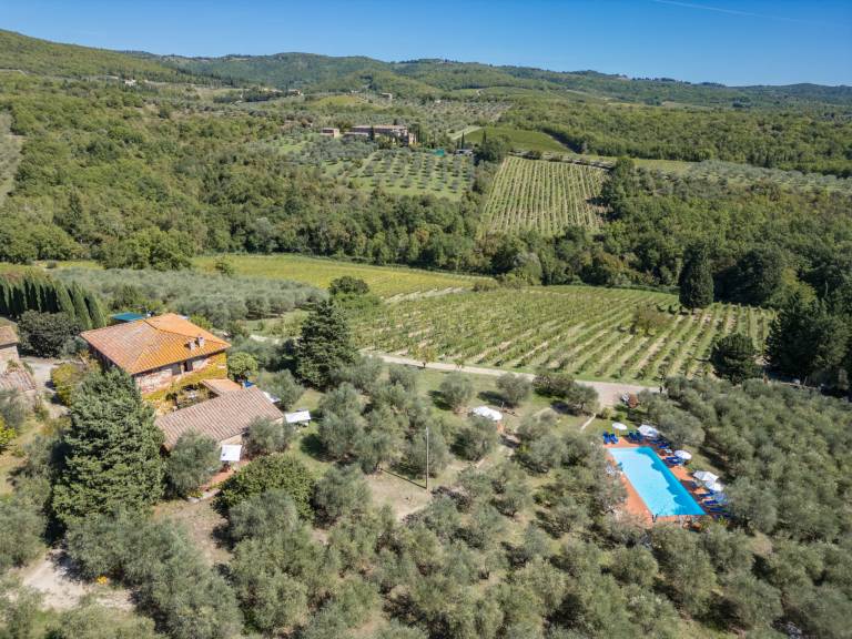 Ferienwohnung in Castellina in Chianti, Cignan Bianco für max. 6 Personen Ferienwohnung in Castellina in Chianti, Cignan Bianco für max. 6 Personen