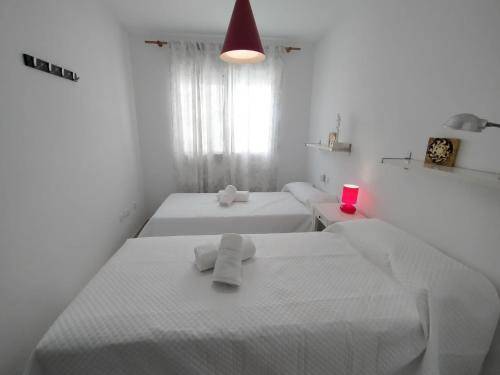 foto14