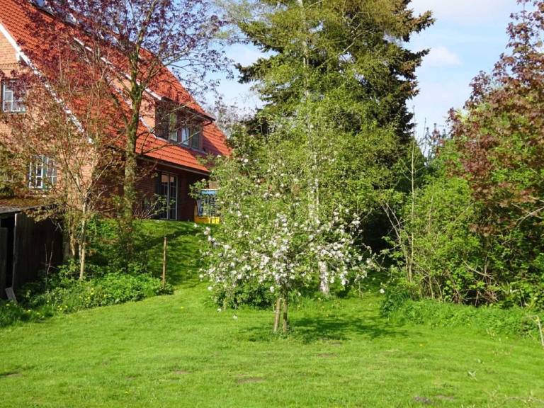 Ferienwohnung Dornbusch