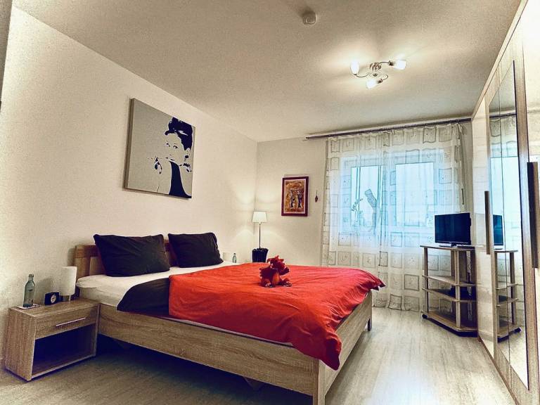 Ferienwohnung  Mannheim