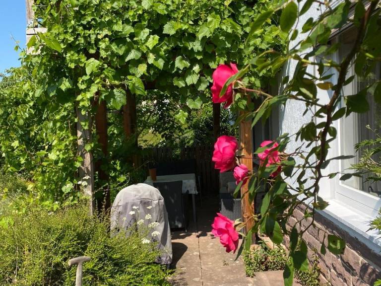 foto16