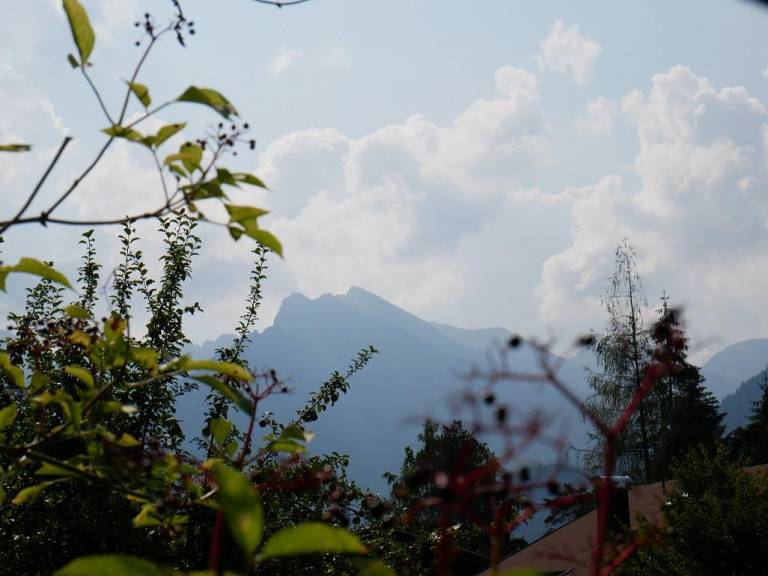 Alpenhotel Waidmannsheil — photo 3