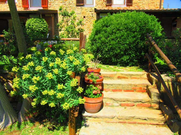 foto29