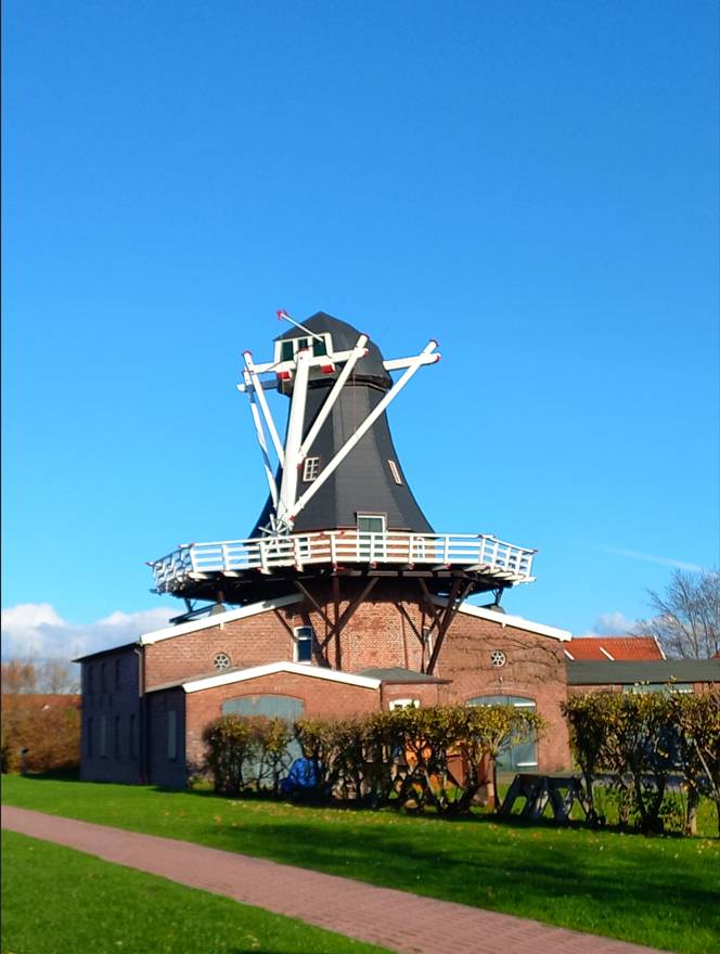 foto14