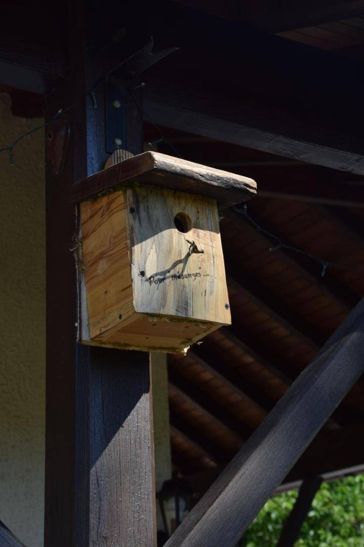 foto15