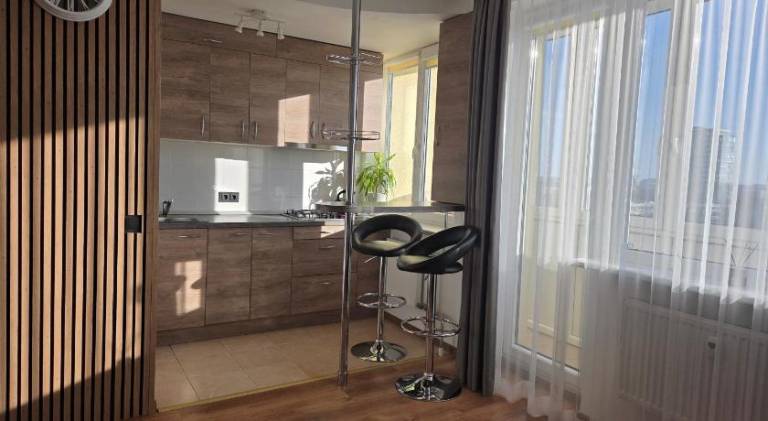 Nice rental apartment | Pets are welcome in Klaipeda