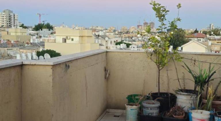 Apartment | Pet-friendly — photo 5